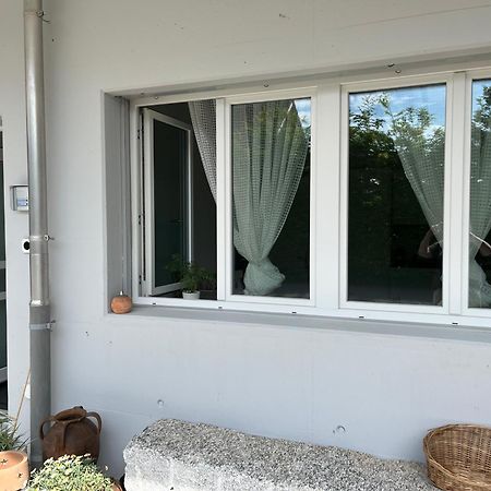 Studio In Neuem Efh Elsau Exteriér fotografie