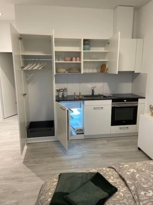 Studio In Neuem Efh Elsau Exteriér fotografie