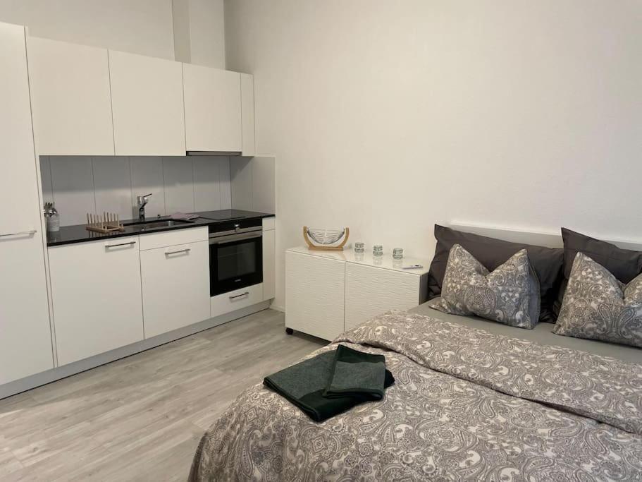 Studio In Neuem Efh Elsau Exteriér fotografie