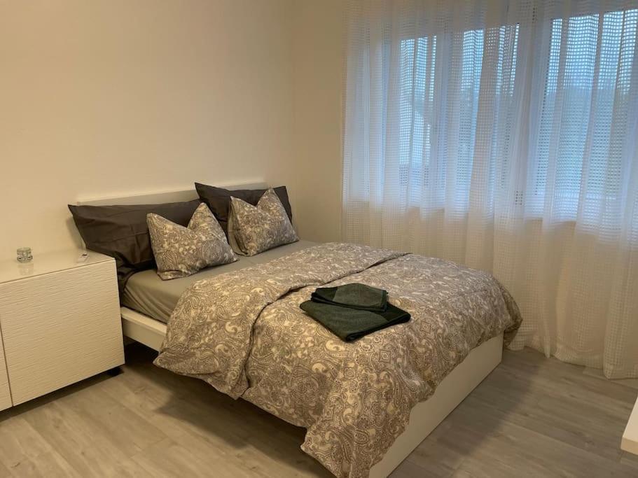 Studio In Neuem Efh Elsau Exteriér fotografie